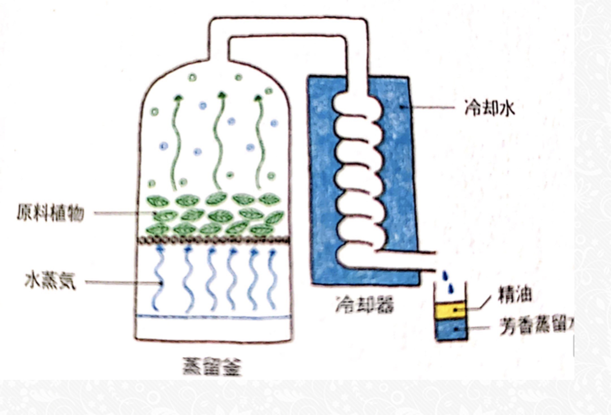 水蒸気蒸留法