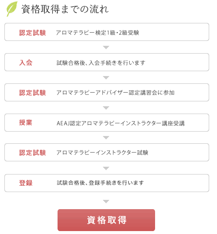 AEAJ資格取得までの流れ