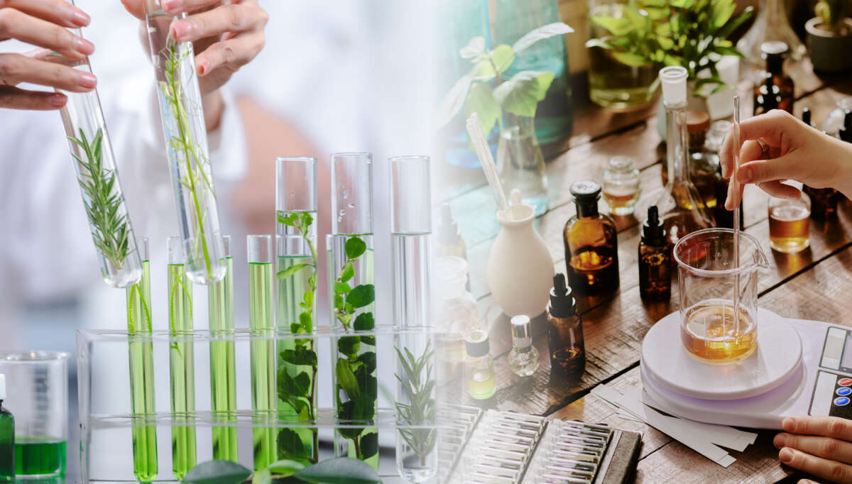 NARD資格総合取得コース